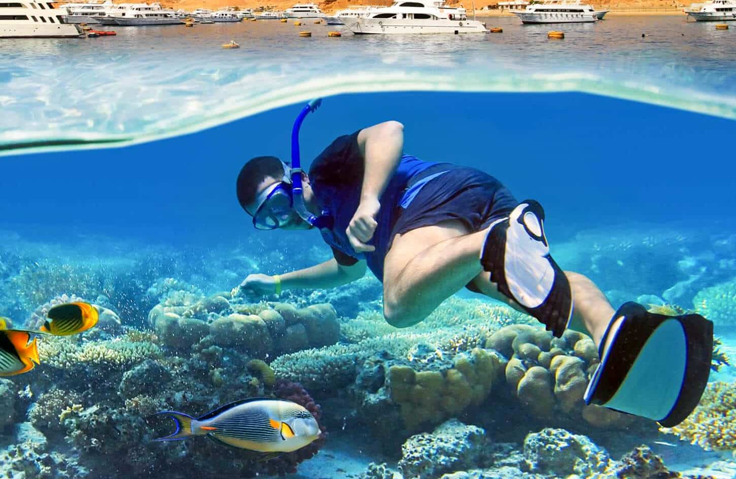 A wonderful shot of a diver from one of the beaches of Ras Mohammed in Sharm