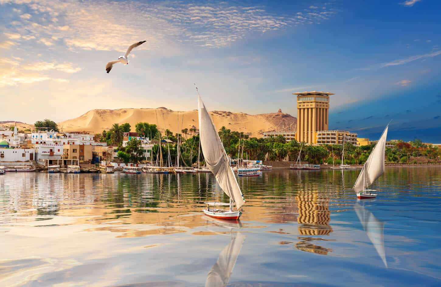 aswan nile river scenery beautiful view