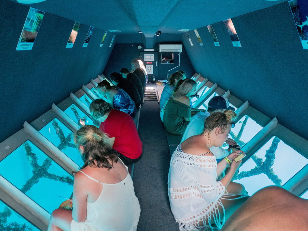 A beautiful picture from inside a semi submarine trip with a group of tourists in Marsa Alam