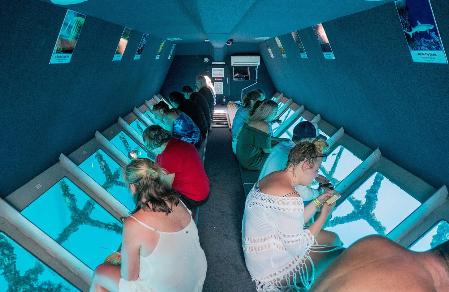 A beautiful picture from inside a semi submarine trip with a group of tourists in Marsa Alam