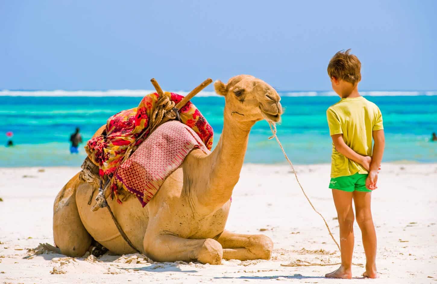 A child with a camel from the beaches of Hurghada