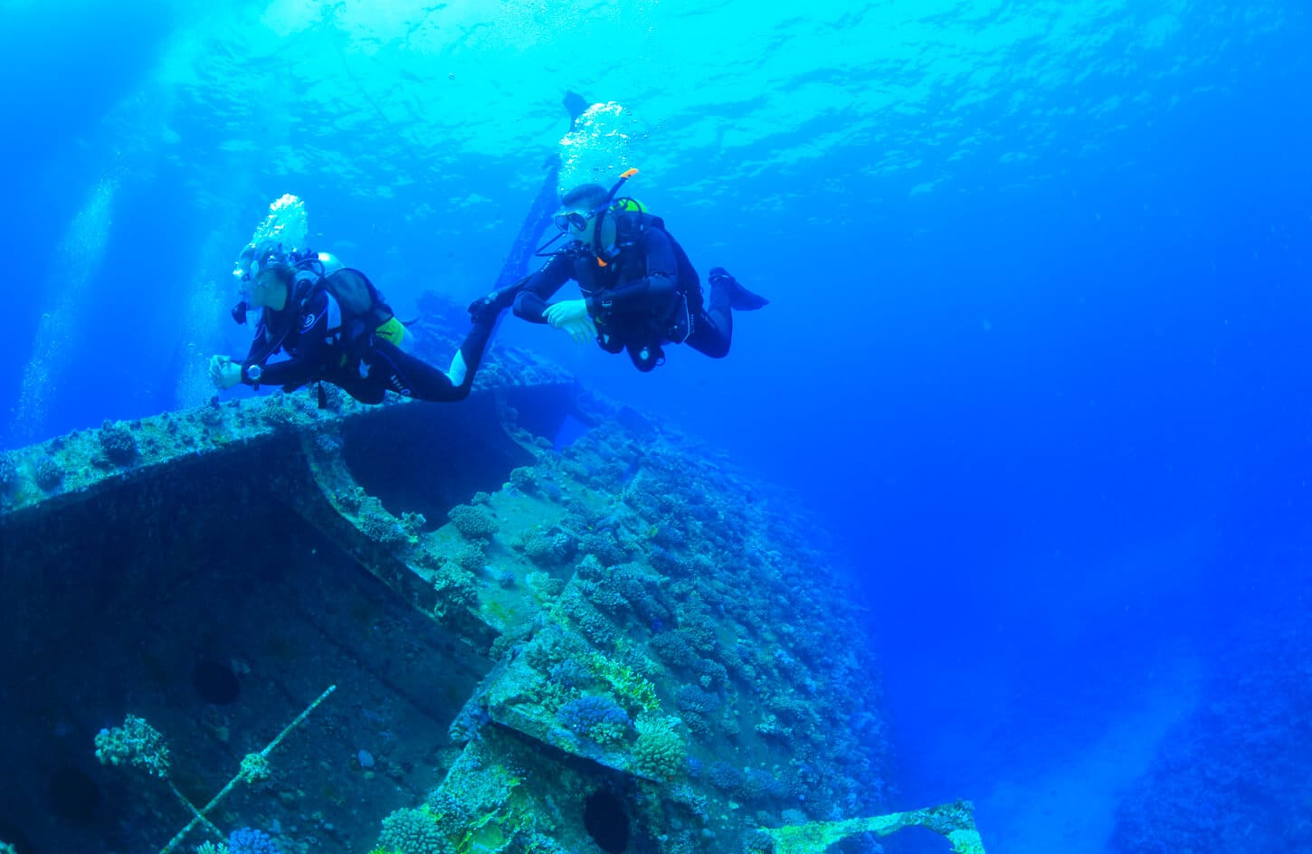 A picture of some divers in the waters of the Red Sea