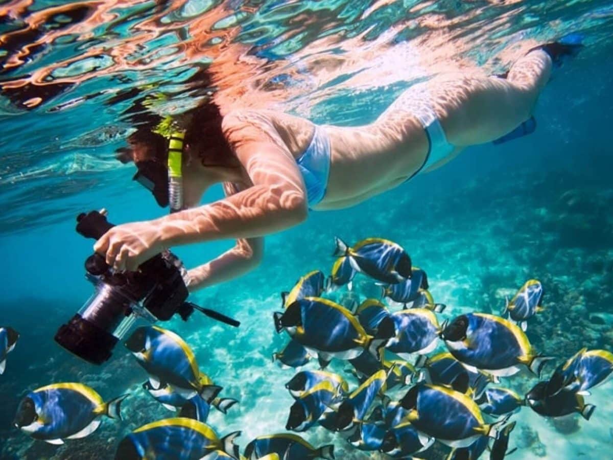A very beautiful picture of a woman underwater taking some pictures of fish and coral in Sharm El Naga