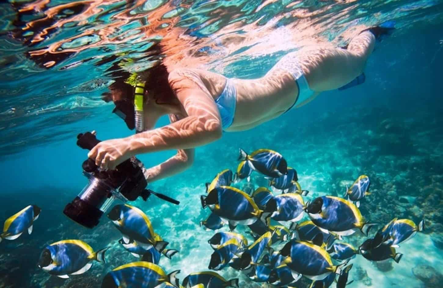 A very beautiful picture of a woman underwater taking some pictures of fish and coral in Sharm El Naga