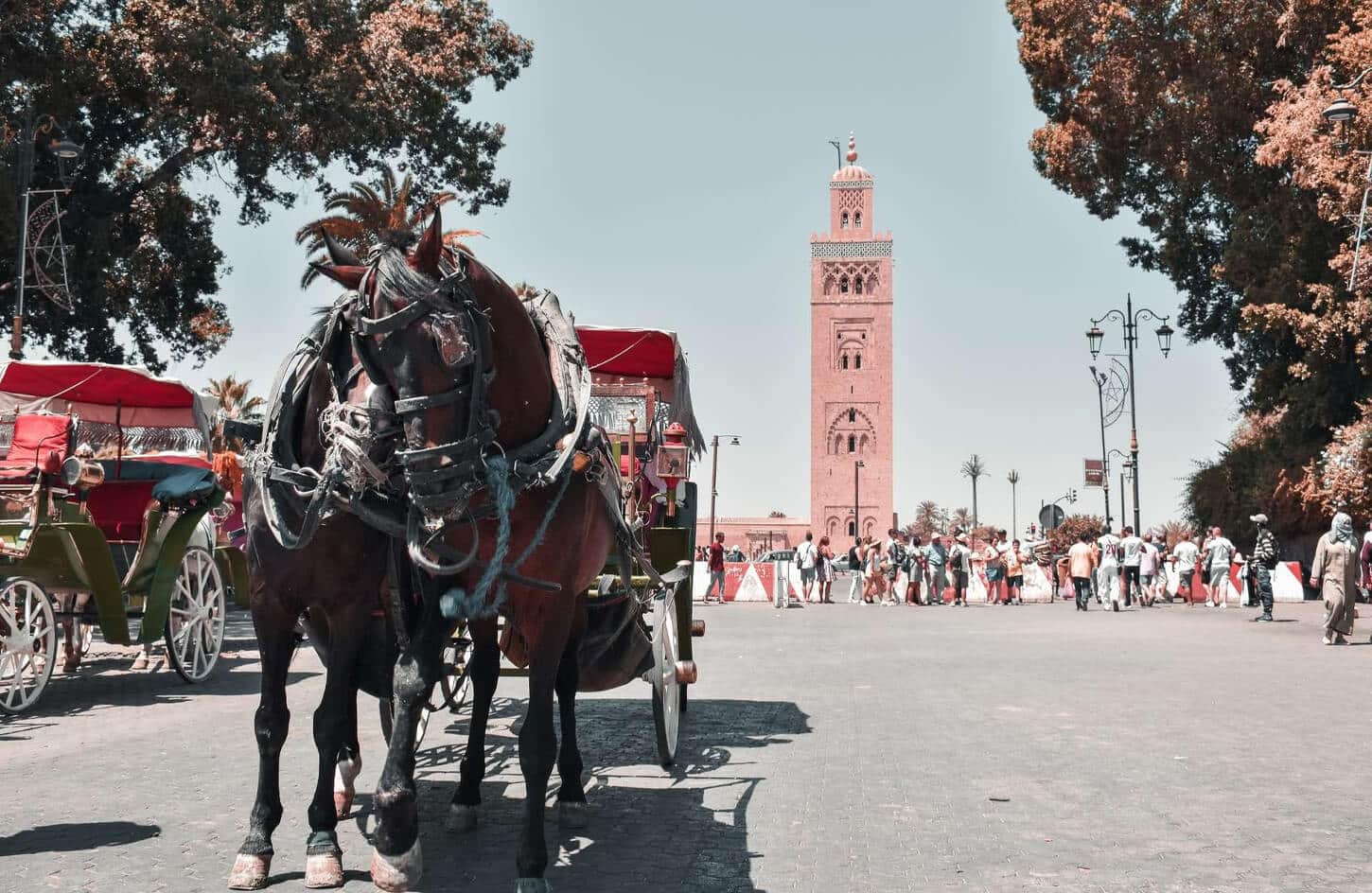 A wonderful picture of a Cretan Arab in the city of Marrakech