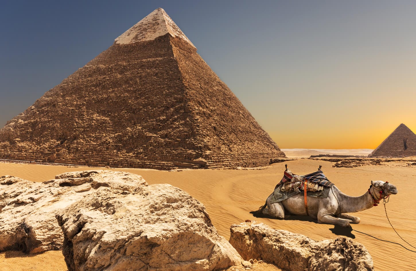 A wonderful picture of a camel in front of the pyramid of Khafre