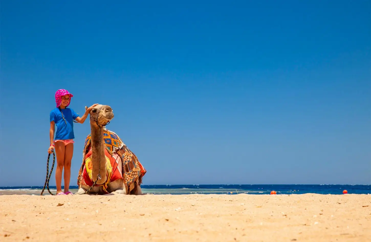 Snorkeling and Diving in Sharm El-Sheikh & Hurghada: Complete Red Sea Guide for 2026 4 Snorkeling and Diving in Sharm El-Sheikh & Hurghada: Complete Red Sea Guide for 2026