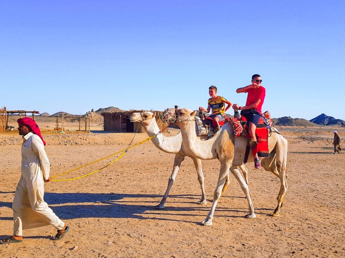 A wonderful picture of the safari with camels in Hurghada
