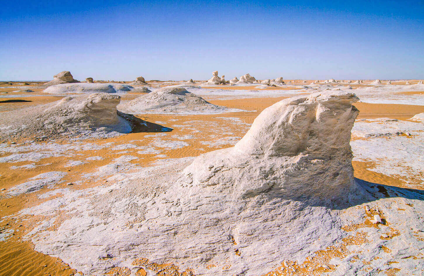 A wonderful picture of the white dunes of the White Desert