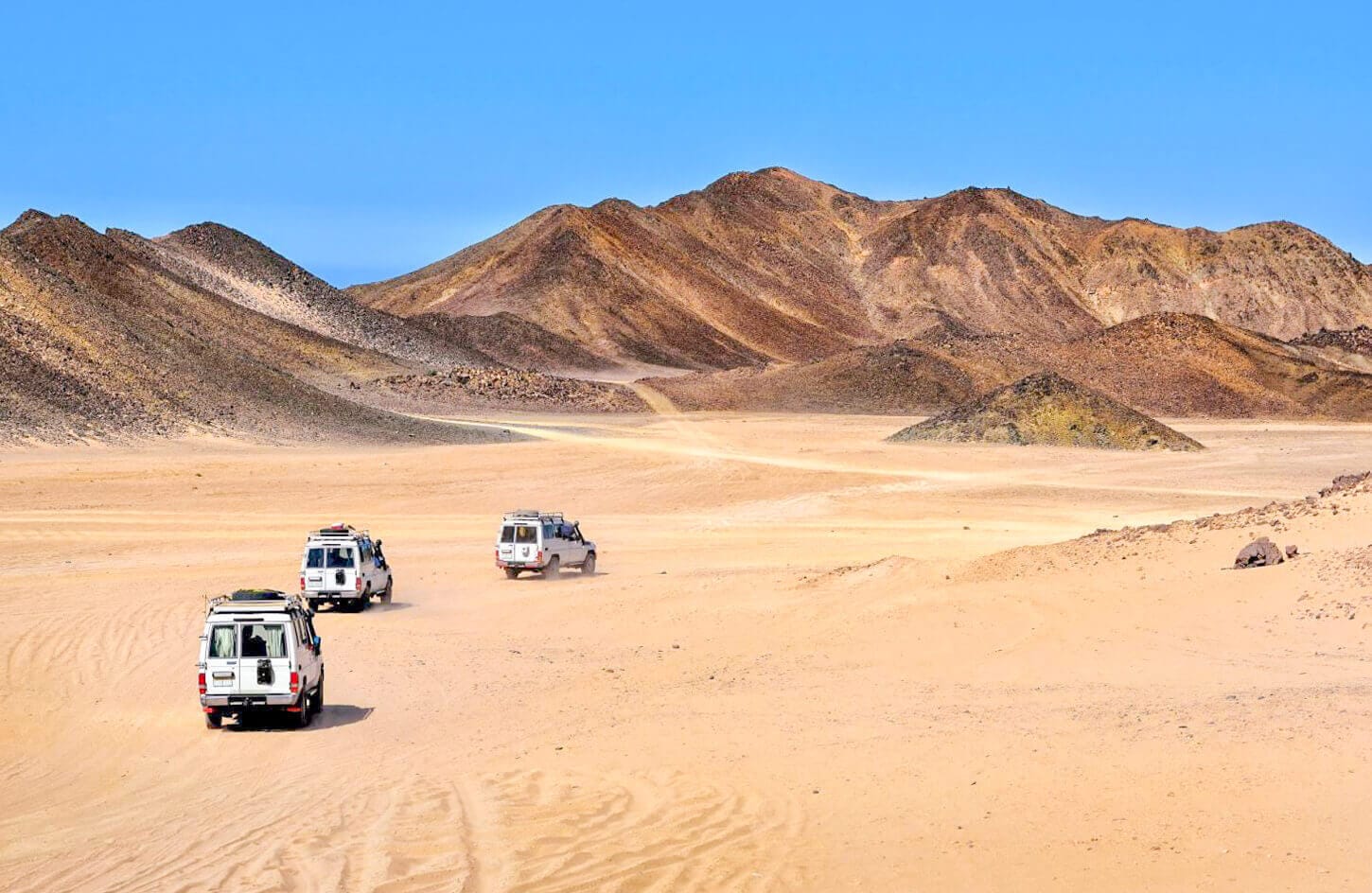 A wonderful shot of some 4 4 jeeps from one of the safari trips 1