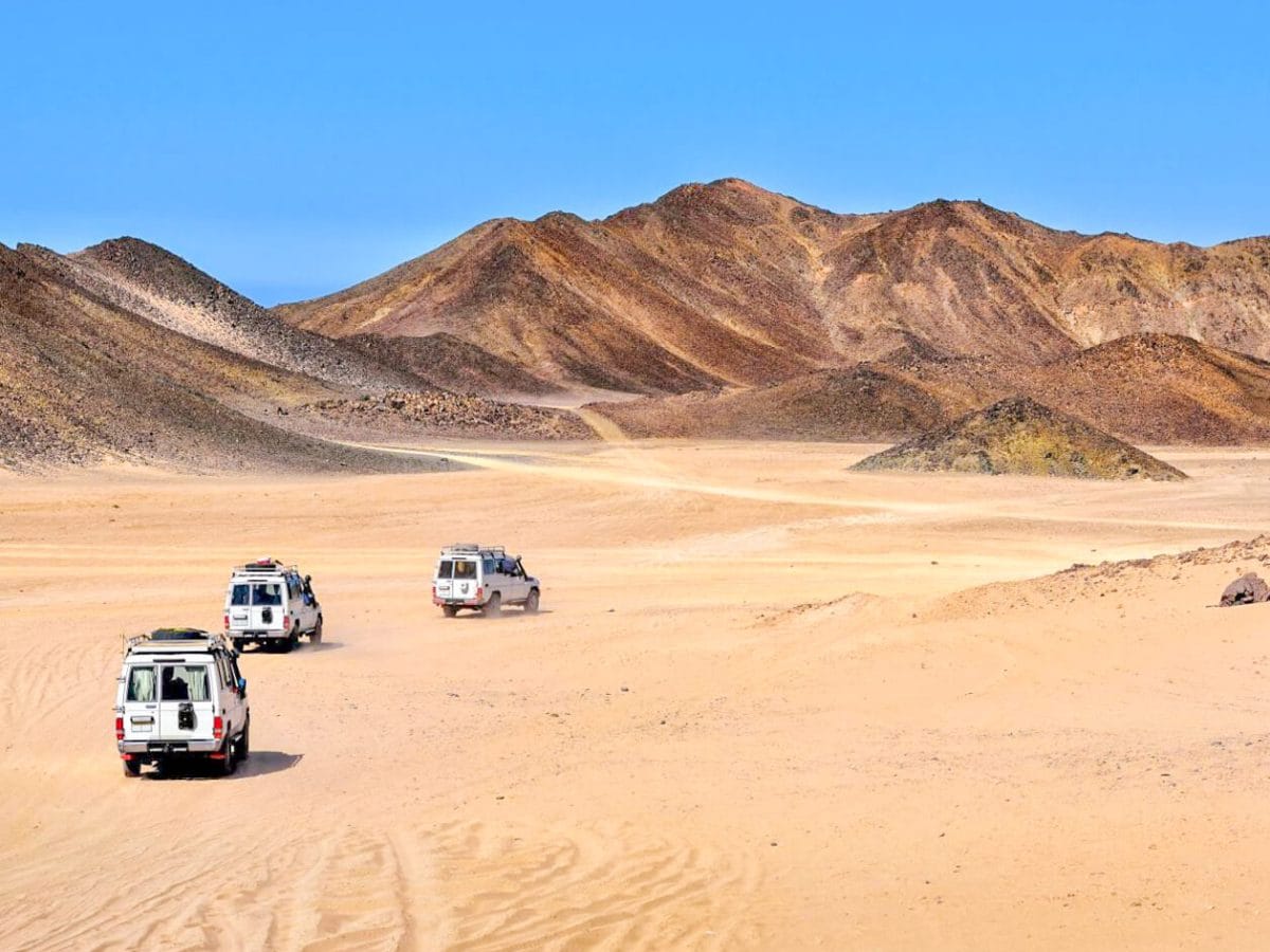 A wonderful shot of some 4 4 jeeps from one of the safari trips