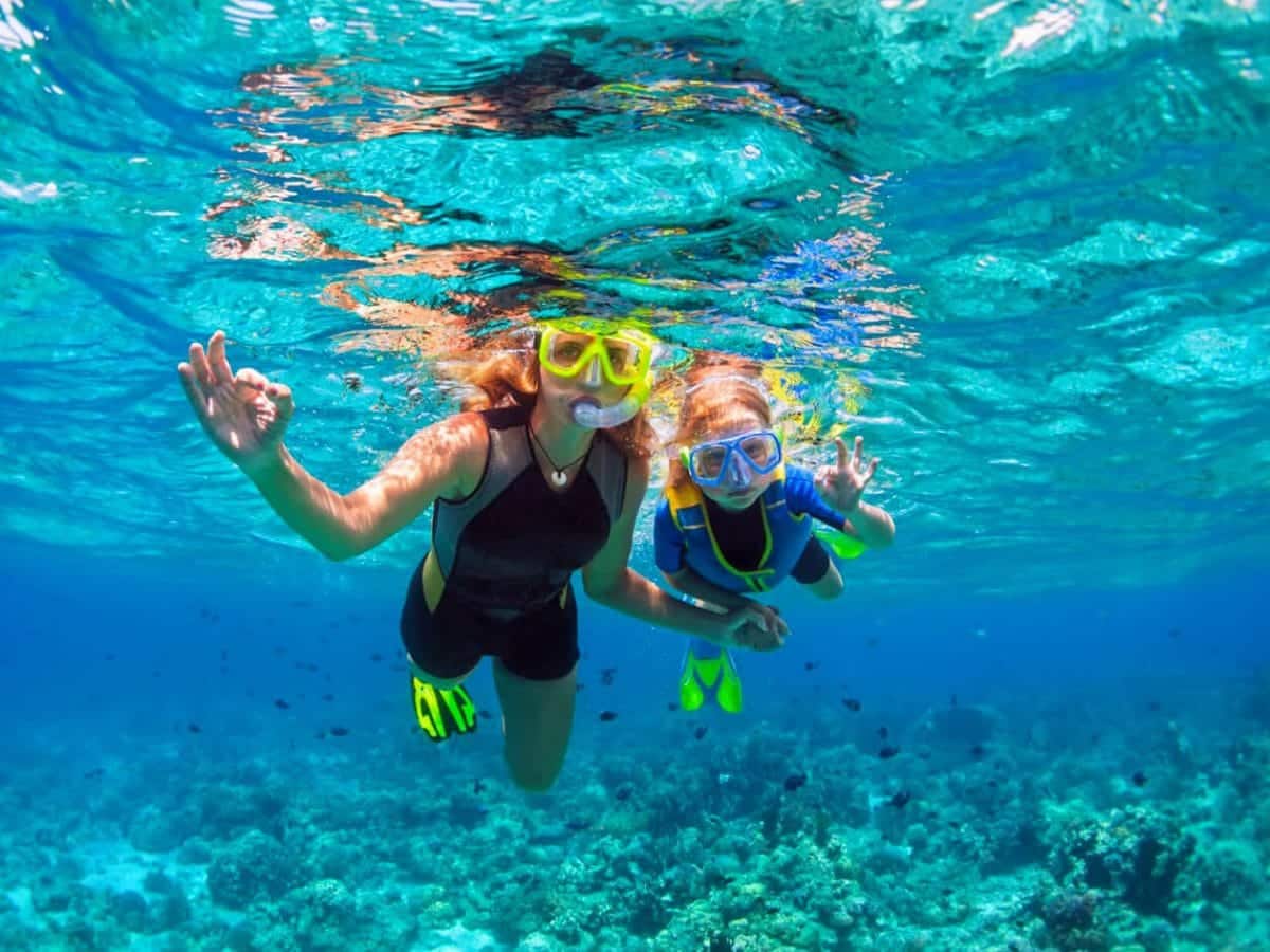 Snorkeling and Diving in Sharm El-Sheikh & Hurghada: Complete Red Sea Guide for 2026