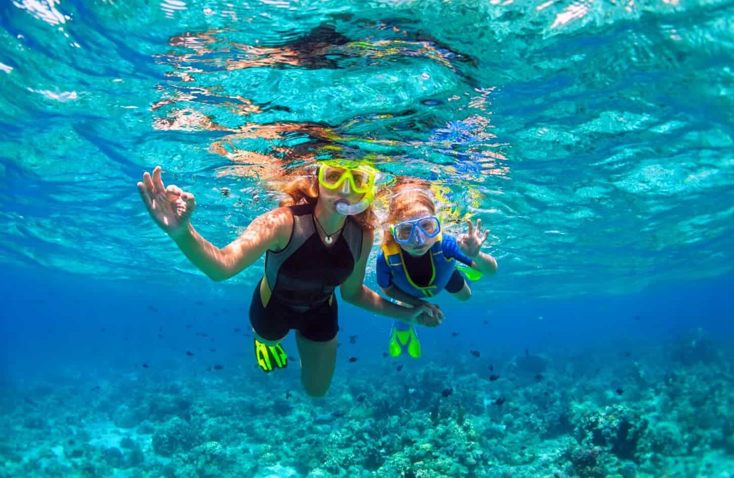 Snorkeling and Diving in Sharm El-Sheikh & Hurghada: Complete Red Sea Guide for 2026