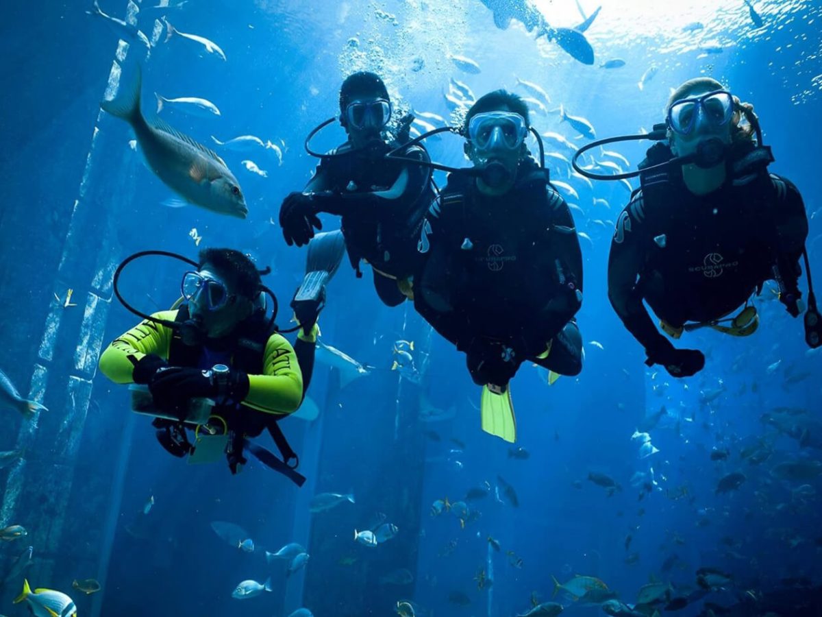 Great photo of a group of tourists on a diving trip