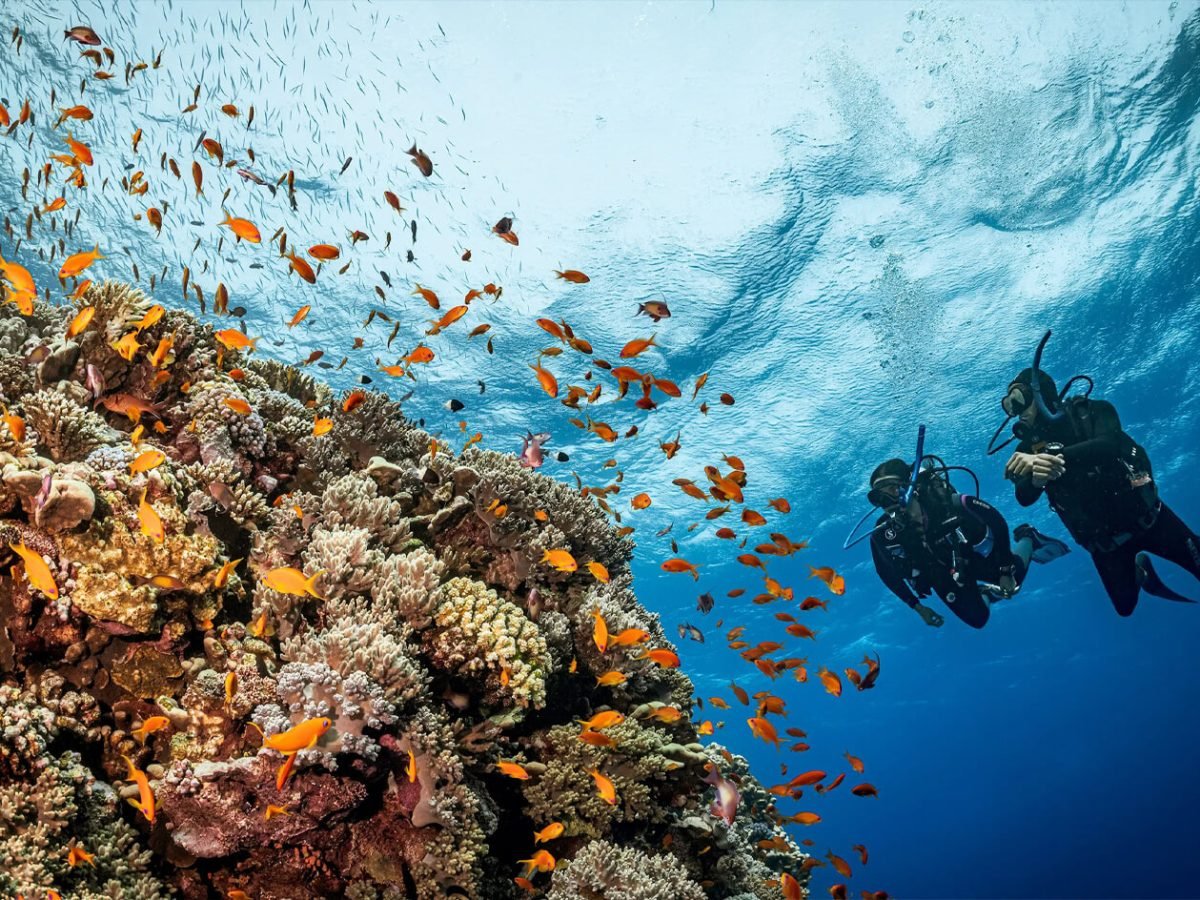 Great photo of a group of tourists on a diving trip in Marsa Alam
