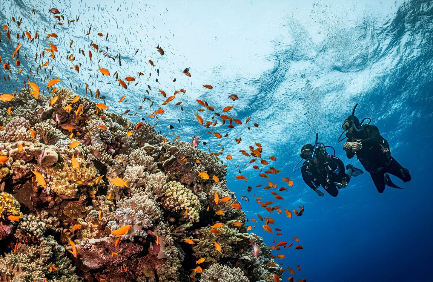 Great photo of a group of tourists on a diving trip in Marsa Alam