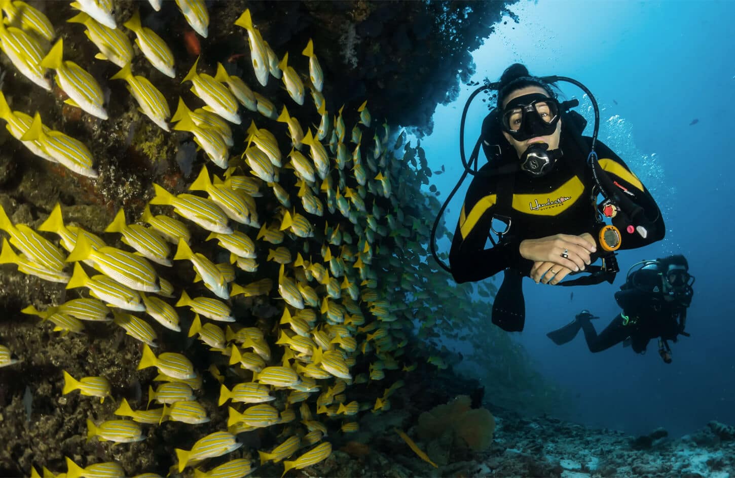 Great photo of some people on a diving trip in the Arabian Sea in Oman