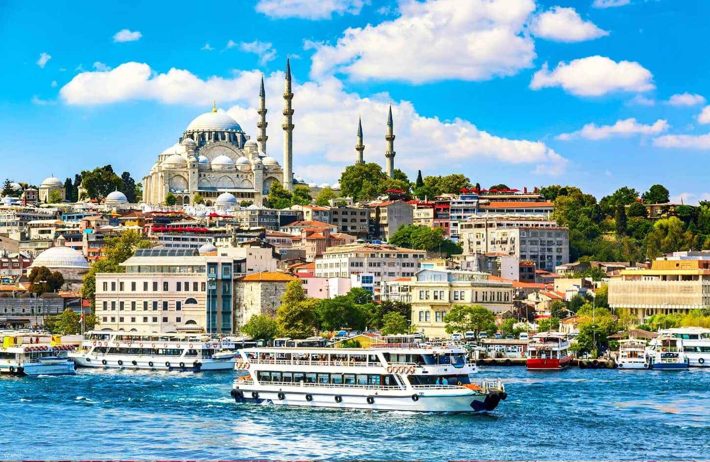 Great picture of Bosporus Cruise