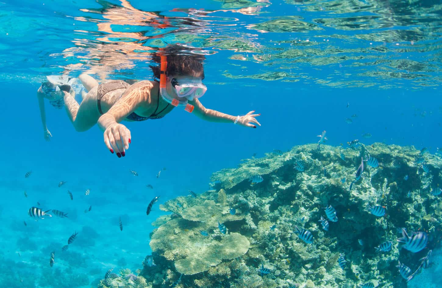 Great picture of a beautiful woman on a Snorkeling trip in Sharm el Naqah