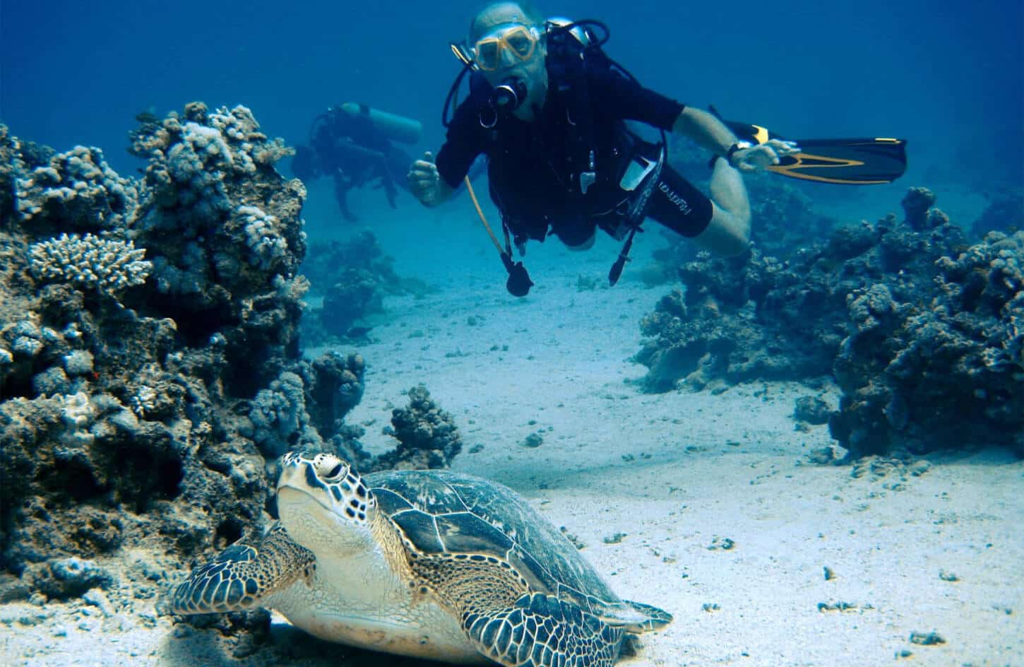 Great picture of tourists on a diving trip in Marsa Alam