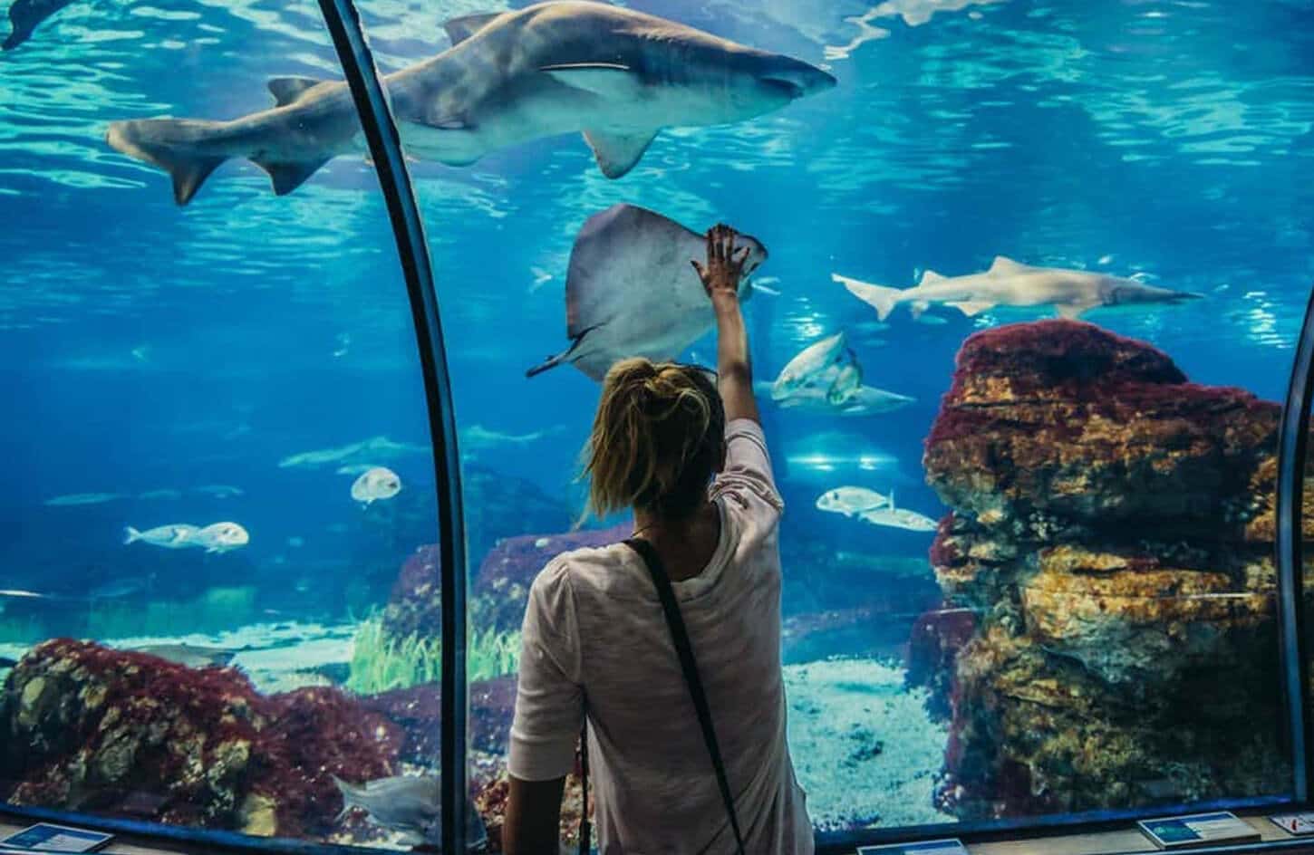 Photo of the child from the Grand Aquarium Hurghada tour