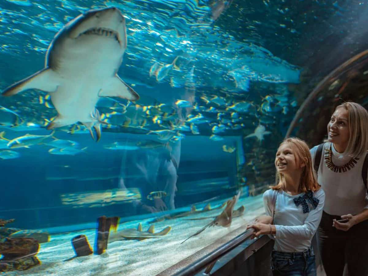 Picture of a woman on a tour of the Grand Aquarium Hurghada