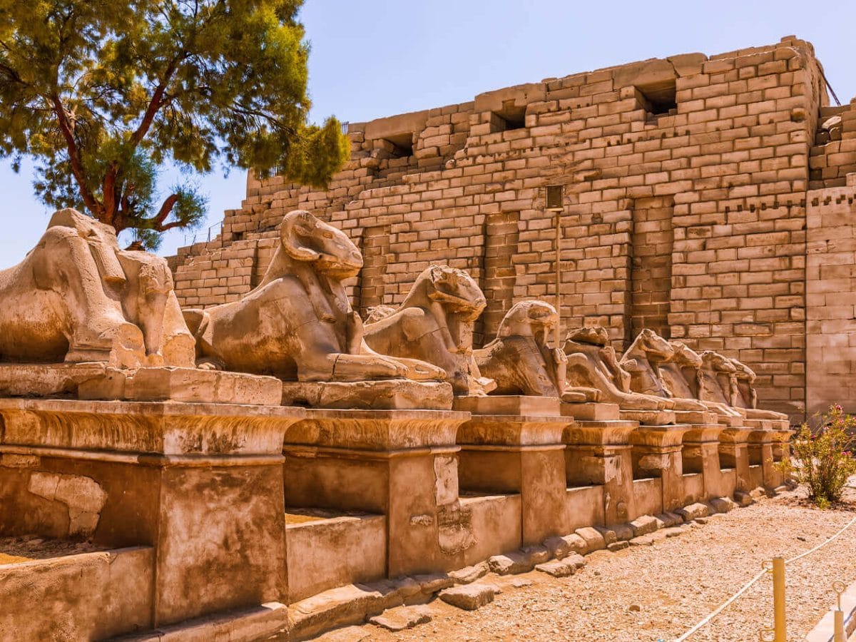 Picture statues of rams from the way of rams