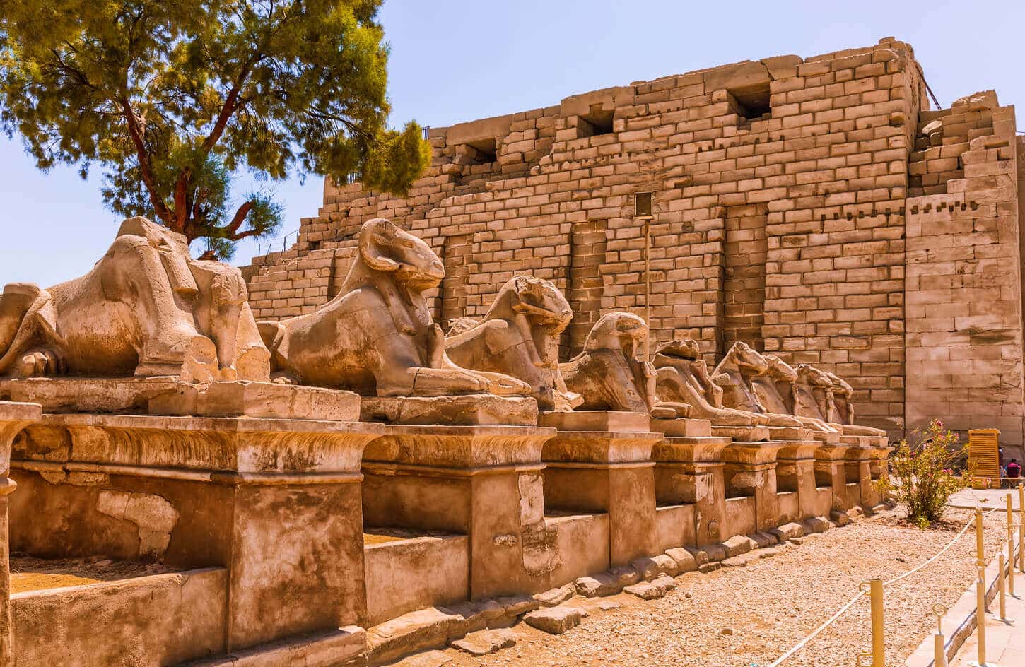 Picture statues of rams from the way of rams