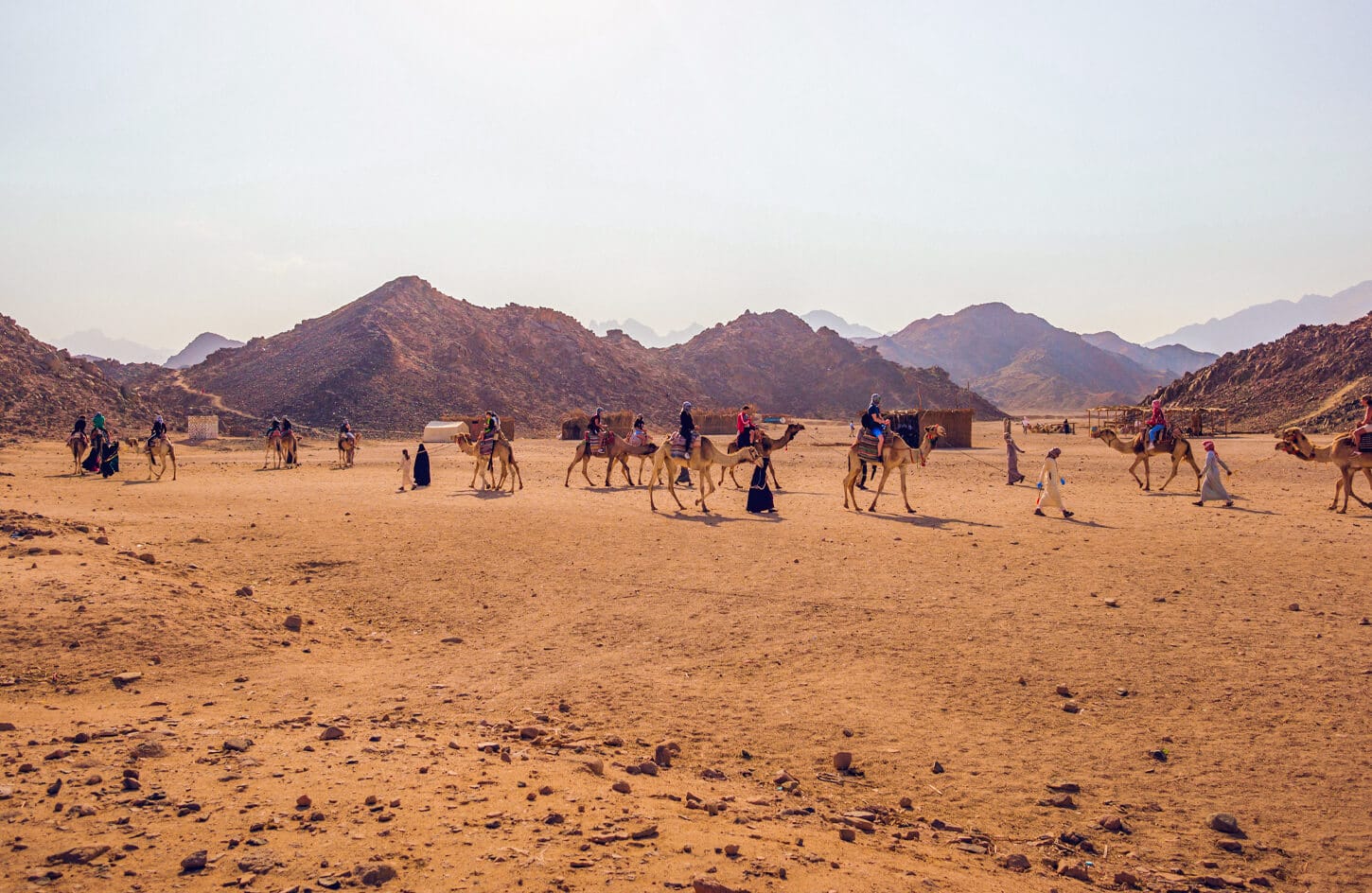 Safari trip in Sharm El Sheikh