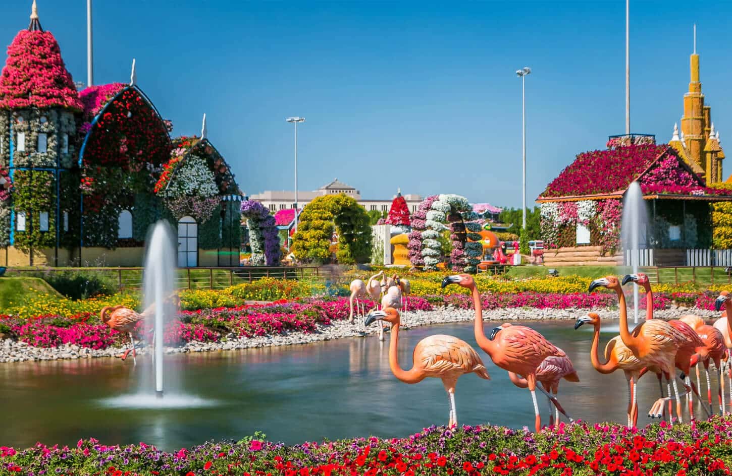 Very beautiful picture from Dubai Miracle Garden