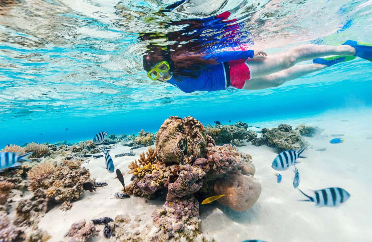 Very beautiful picture of a woman on a snorkeling trip