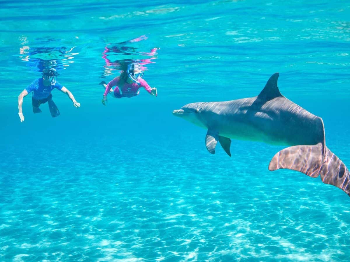 Very beautiful picture of two women on a snorkeling trip