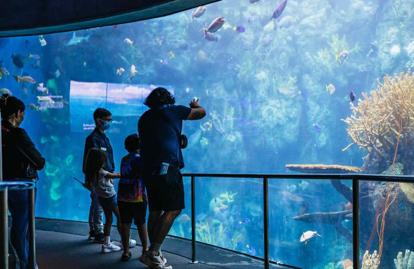 Very nice picture of a family on a tour of the Grand Aquarium Hurghada