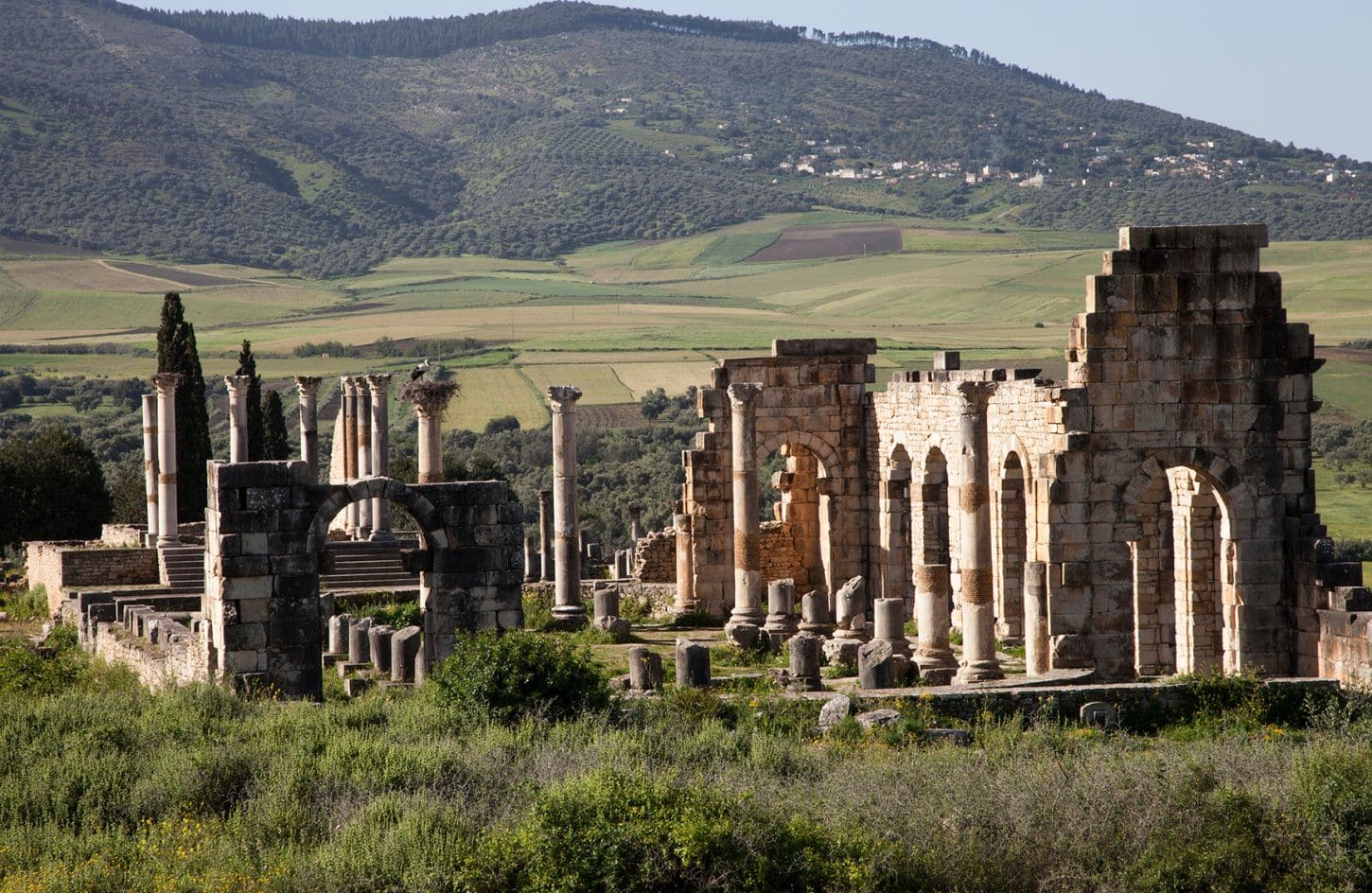 a great photo of moroccos roman ruins volubilis