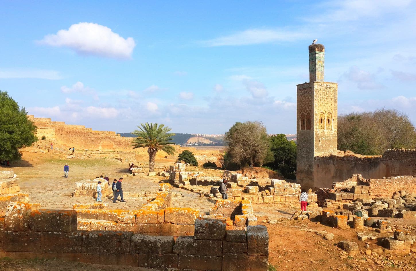 a great photo of the ancient necropolis of chella
