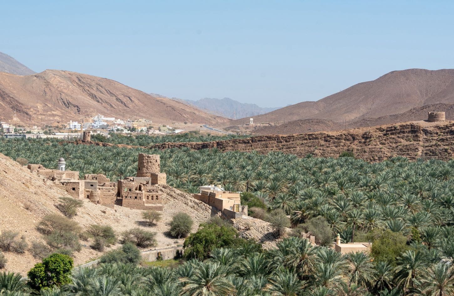 a wonderful shot from oasis at birkat al mouz