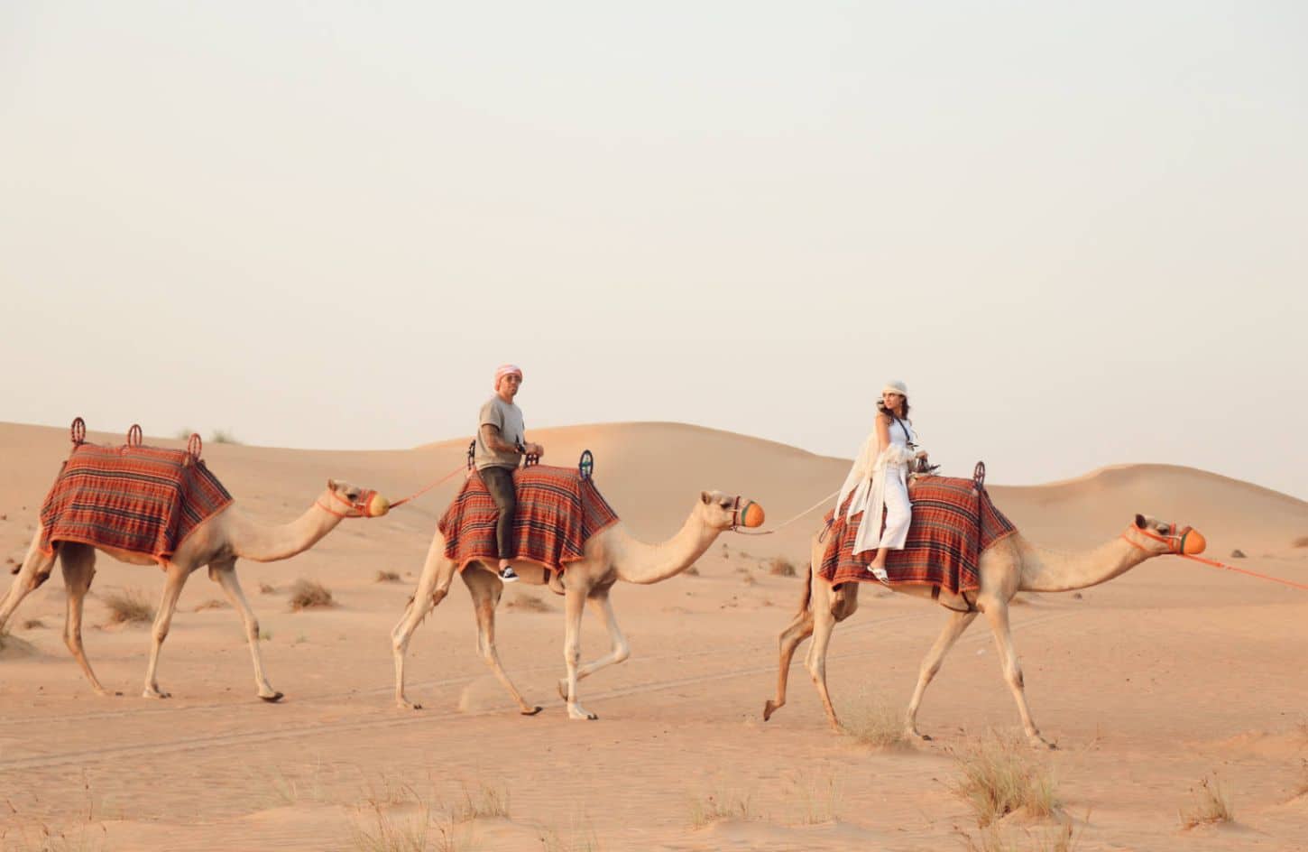 a great shot of a camel ride from dubai